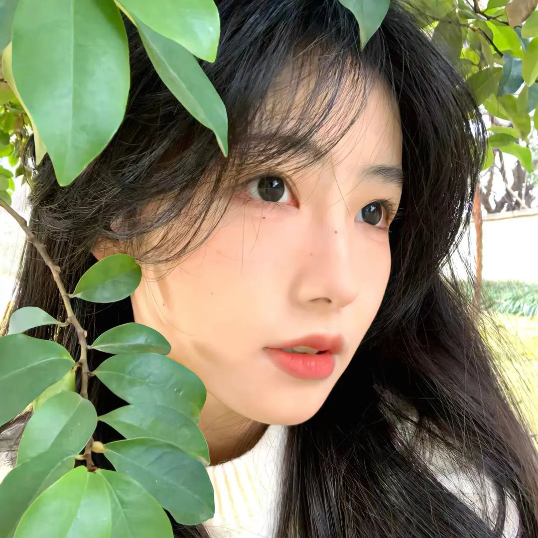 那年夏天,宁静的海
